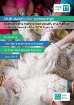 hlpe-report-13-multi-stakeholder-partnerships-to-finance-and