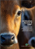 A-Literature-review-of-GWP-star-Nov-2020