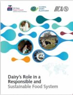Dairys role in a responsible and sustainable food system report cover