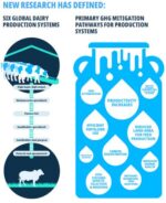P2DNZ Research identifies practical pathways for dairy systems worldwide