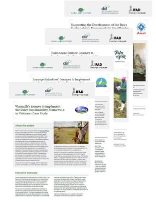 IFAD case studies 2