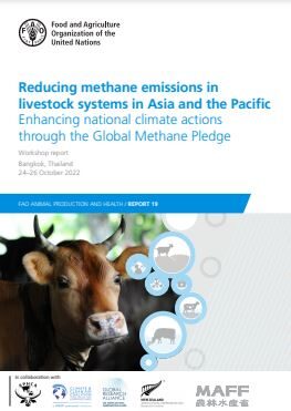 Reducing methane emissions FAO workshop report
