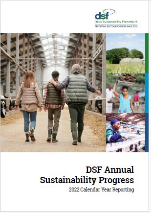 DSF Annual Sustainability Progress – 2022 Calendar Year Reporting