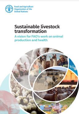 FAO Sustainable Livestock transformation report