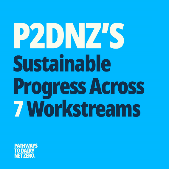 P2DNZ image 7 workstreams