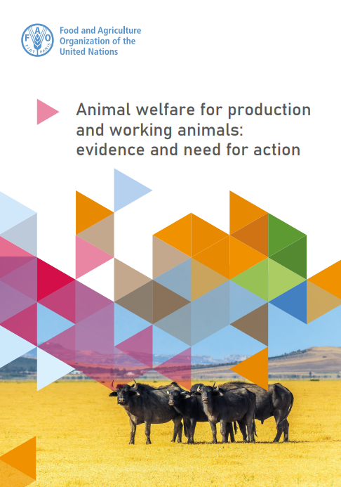 Animal welfare for production and working animals