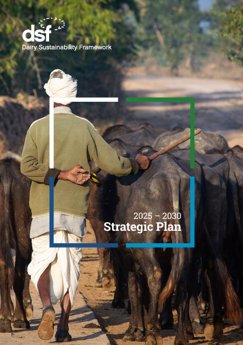 DSF 2025 – 2030 Strategic Plan