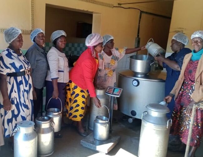 Milk collection centre Zimbabwe